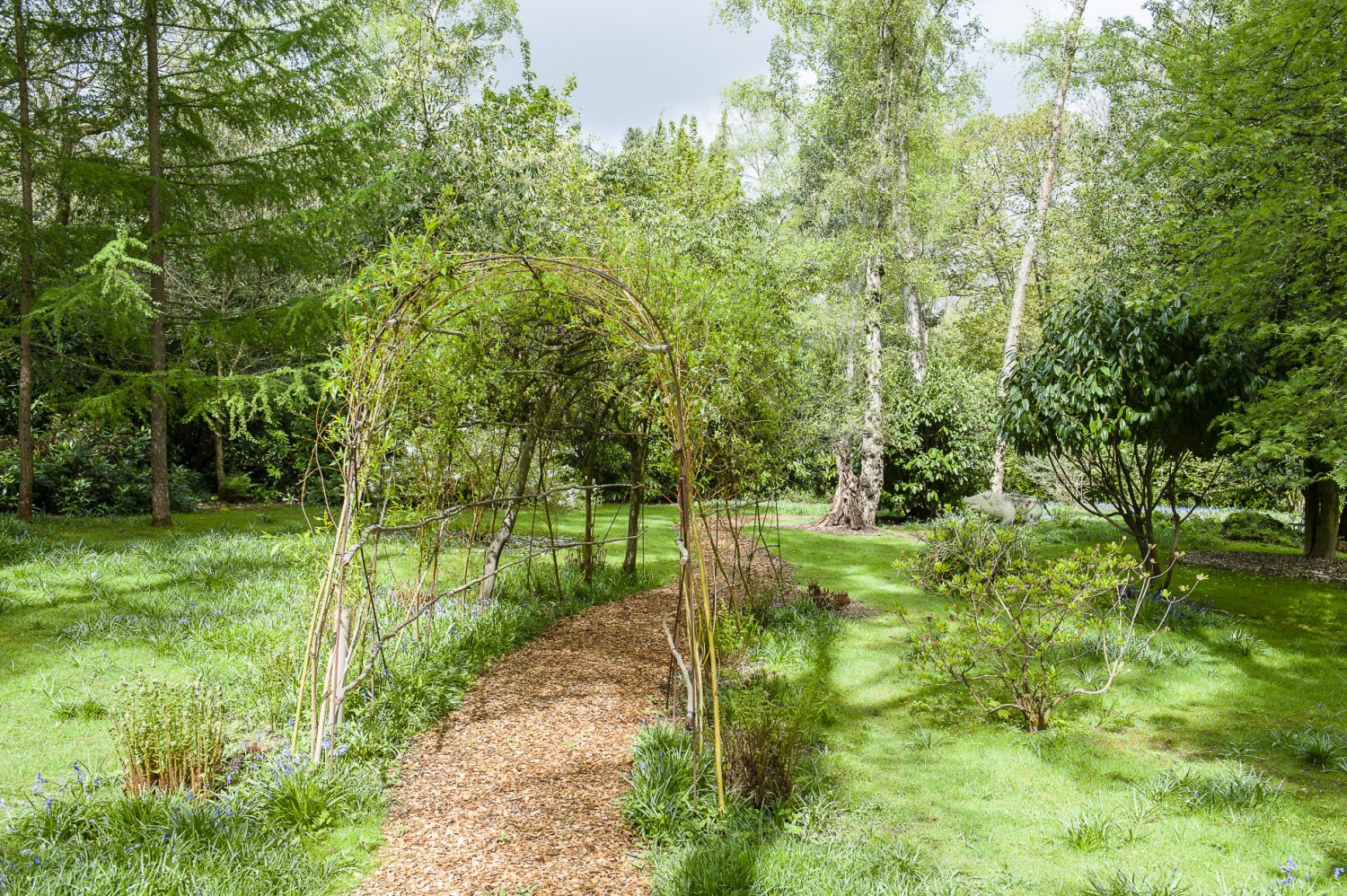 A path meanders through the garden