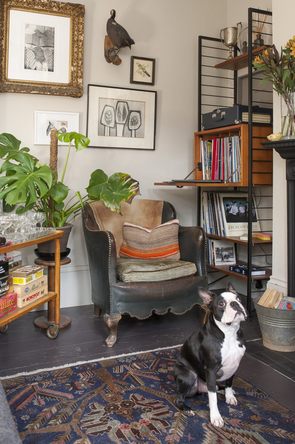 Cooper stands guard in the living room, with floorboards painted in Chocolate by Little Greene. The leather chair is one of a pair from France, found by a lady in St Leonards who has a shop called Sideshow Interiors. Artworks by Russell Loughlan have been carefully placed on the wall