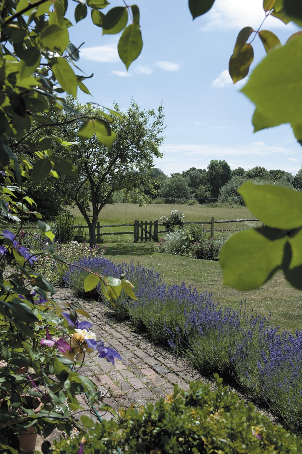 A lavender-edged brick path leads the eye towards the unspoilt meadow beyond