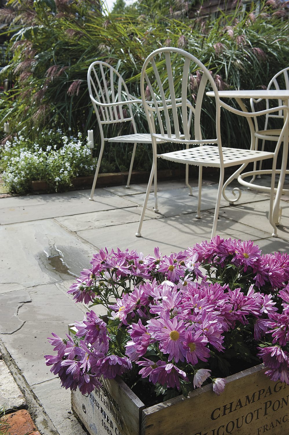 a terraced area outside Kate’s office is a perfect place to sit and enjoy the garden in the October sunshine