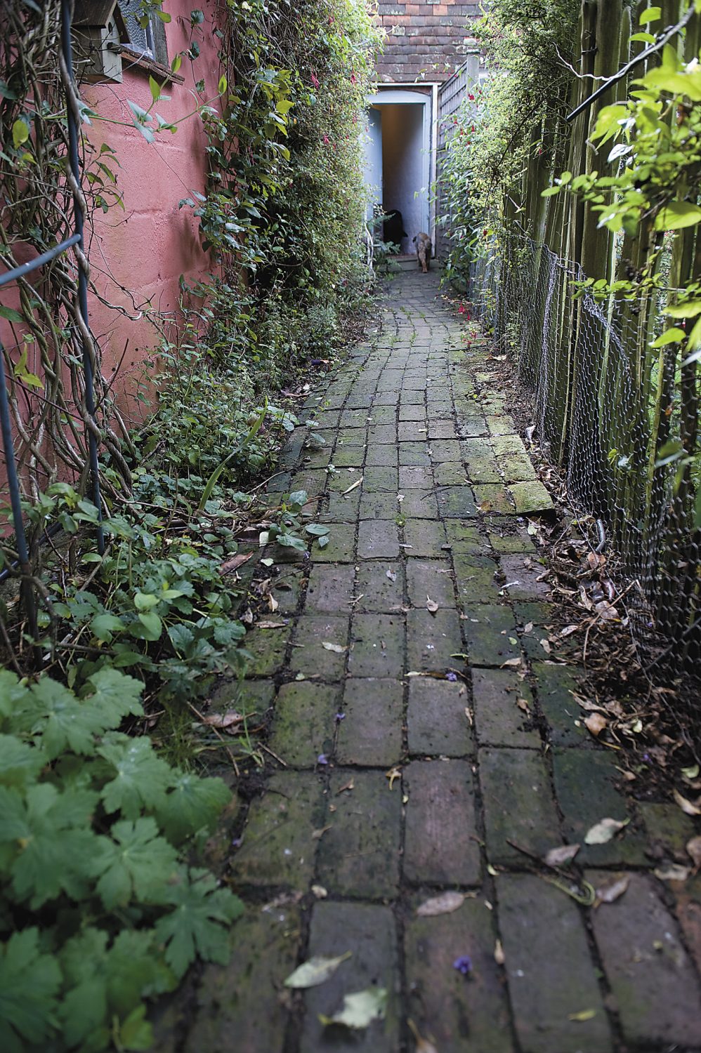 a brick path leads from the house to the garden