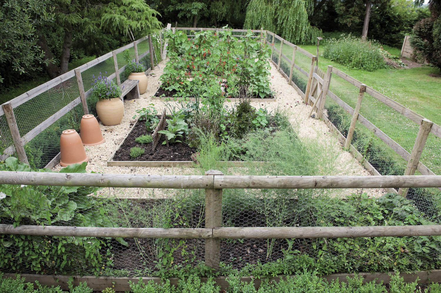 The busy vegetable patch, fenced against the voracious local bunnies, brims with produce
