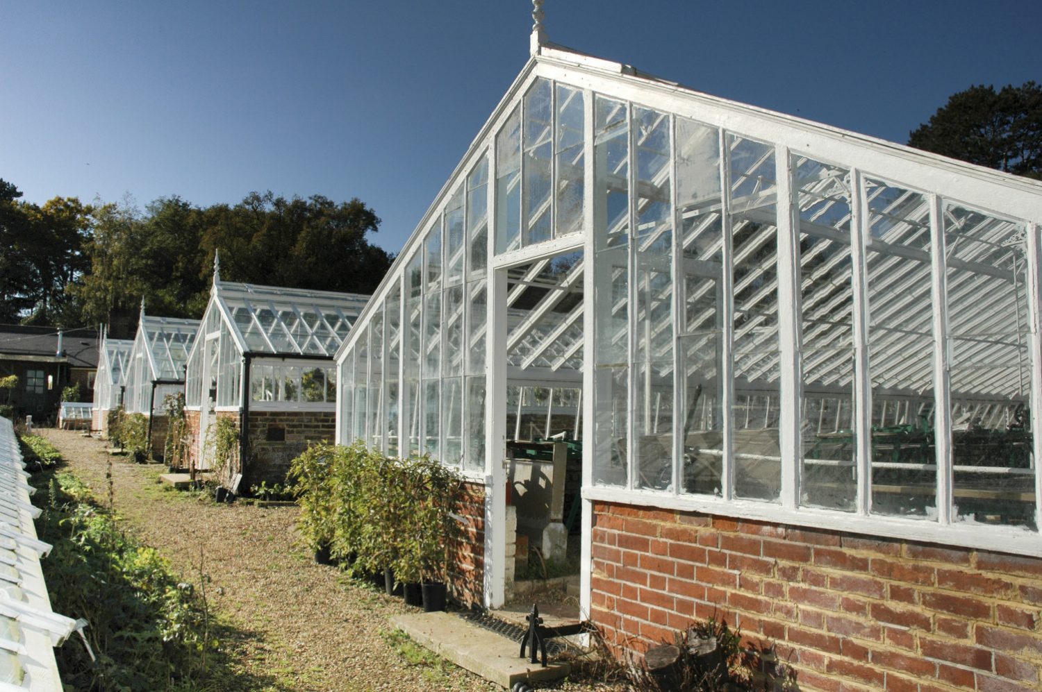 the renovated Victorian green houses at the Walled Nursey, in Hawkhurst