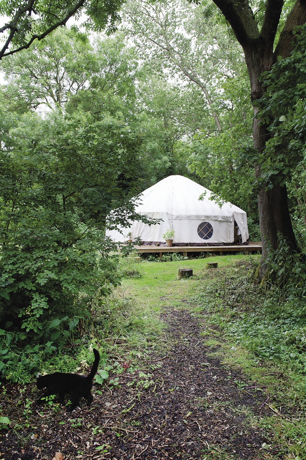A path gently winds its way through the woods to a magnificent yurt. Inside the vast dome, the supports have been cut from hazel trees at Stanmer Park in Brighton. On its wooden floor there are yoga mats laid out in a neat circle ready for the next group