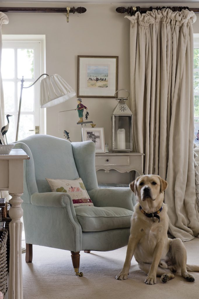 Simba the Labrador relaxes. A silk shaded standard reading lamp overlooks a wingback chair covered in a duck egg blue fabric