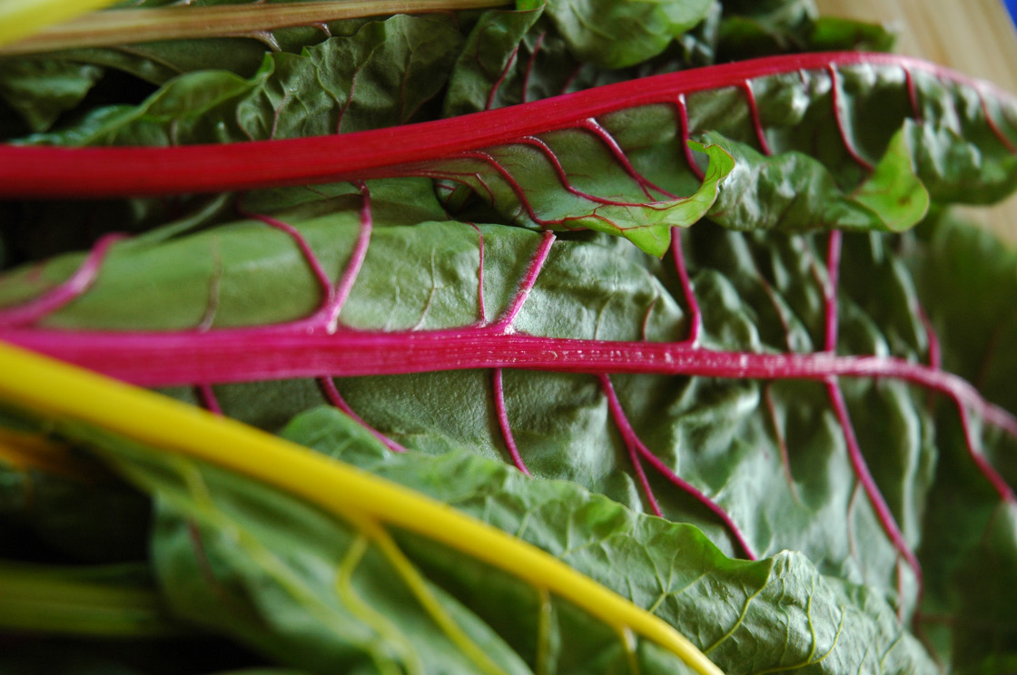 Swiss chard is similar to spinach, but the leaves have a thicker stem