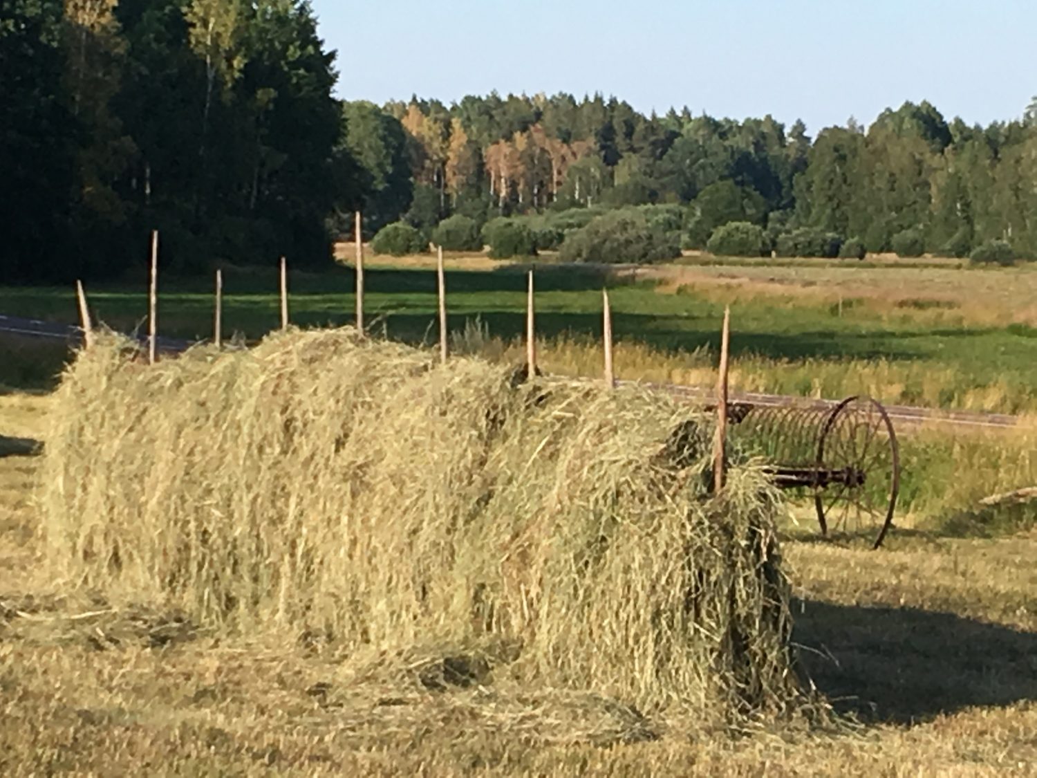 Harvest in Sweden