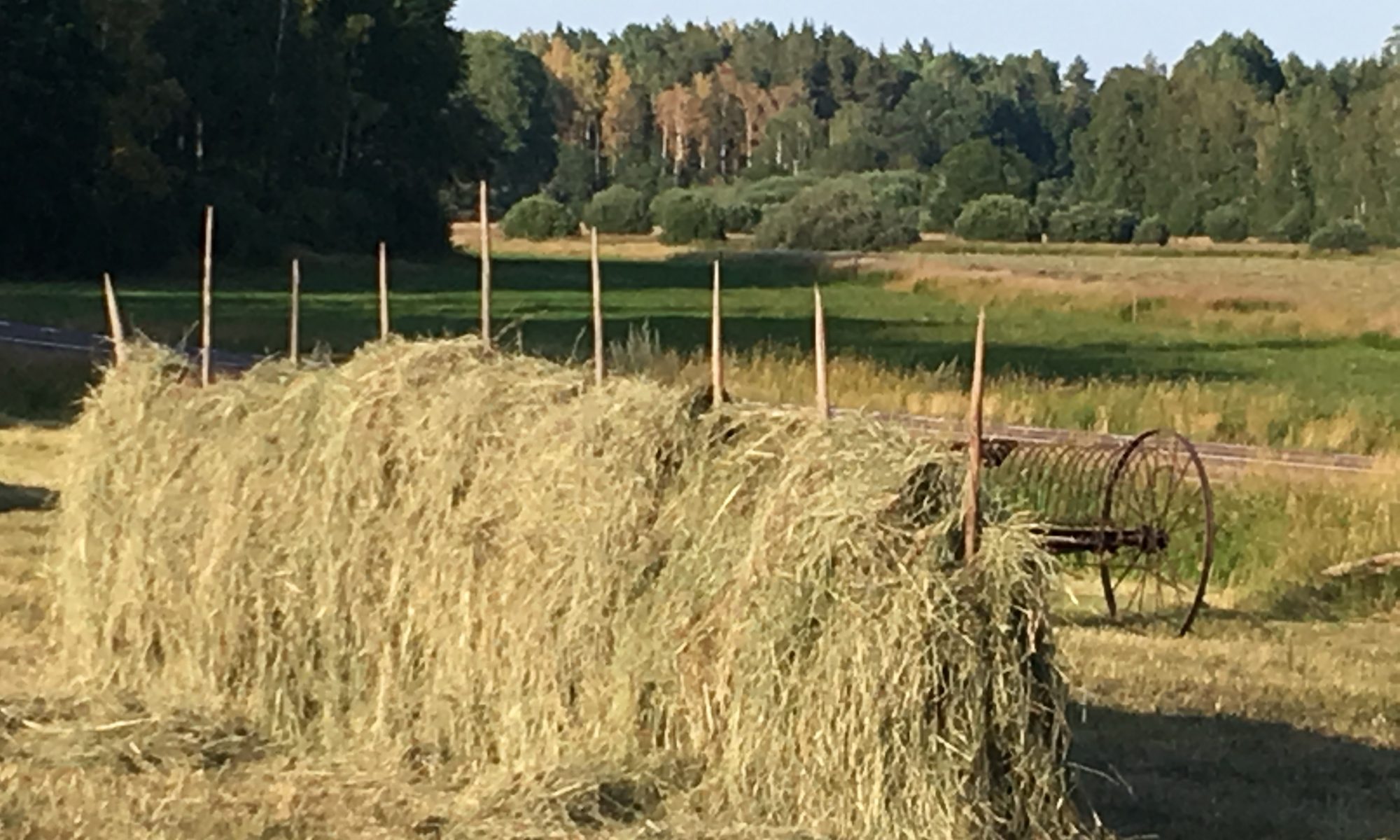 Harvest in Sweden