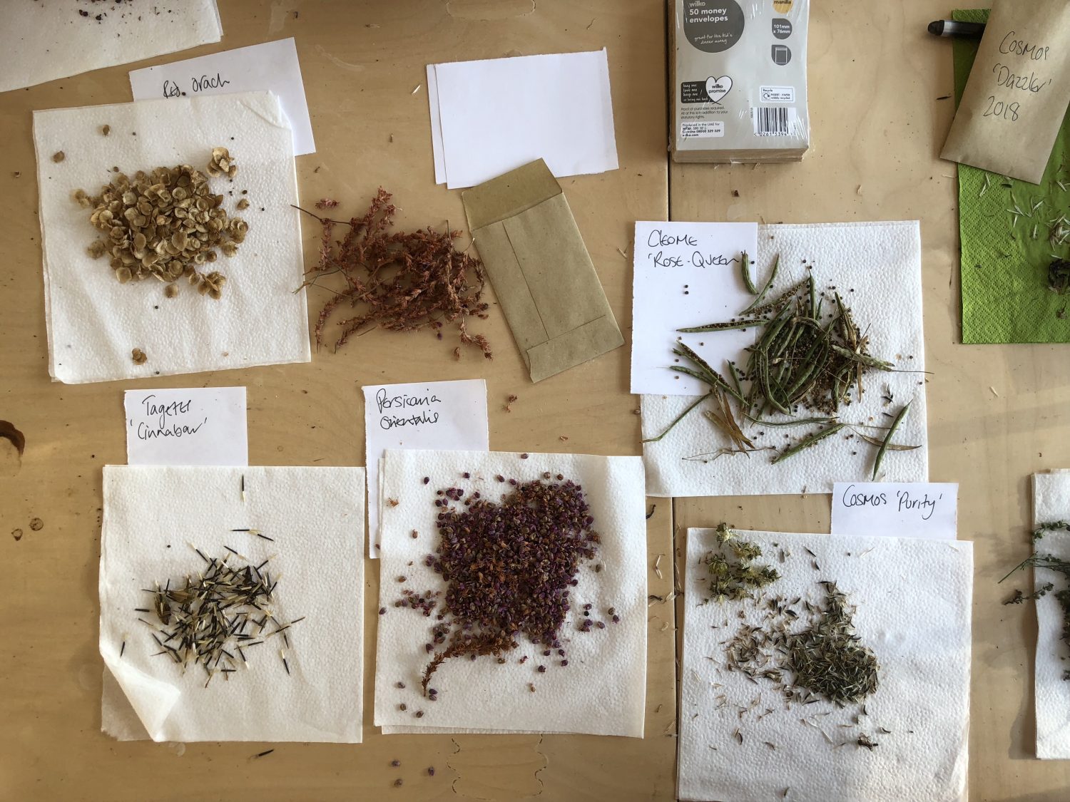 Home-collected seed