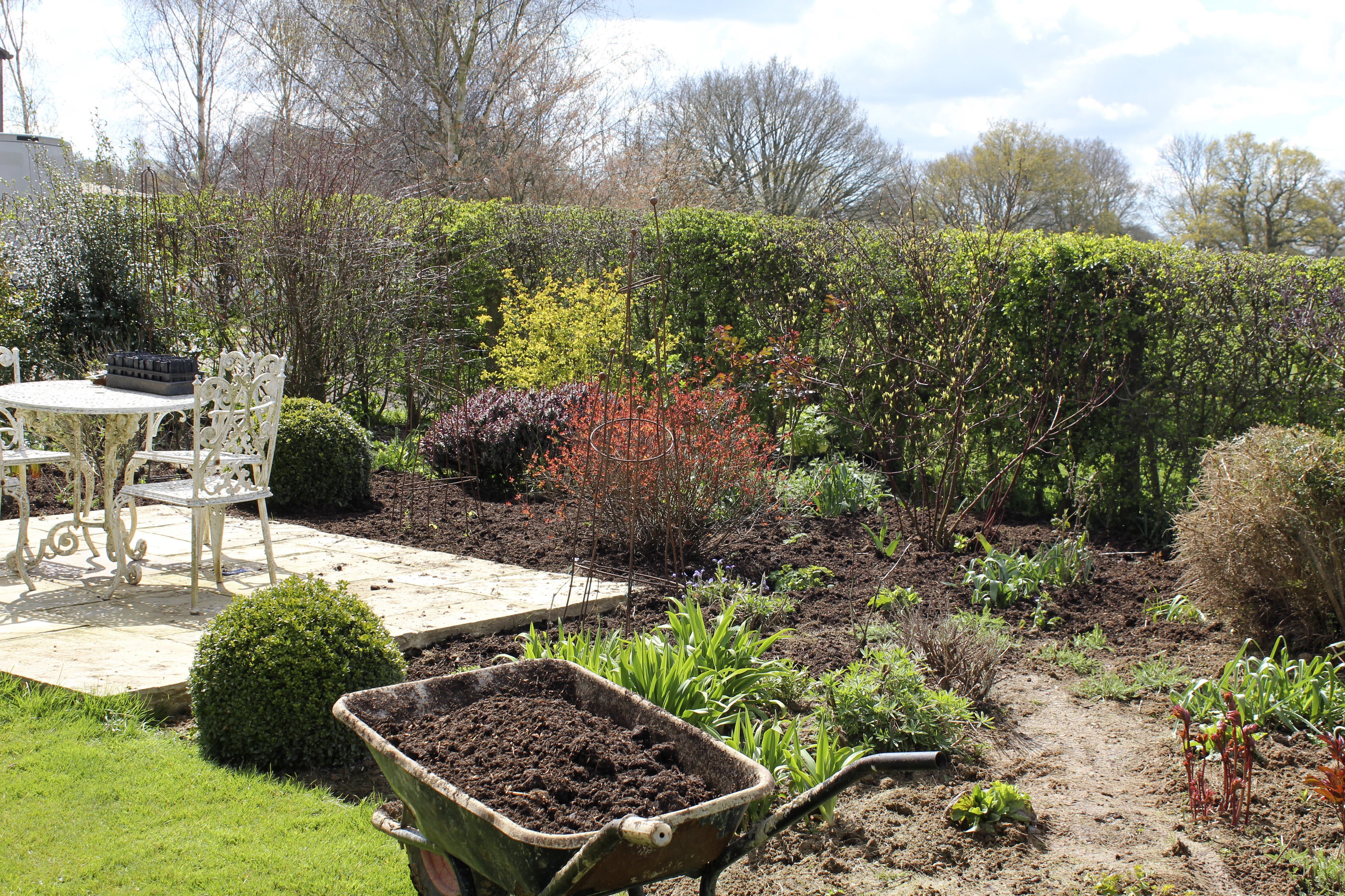 Adding a mulch in spring will help the soil structure, conserve moisture and help to keep the weeds down