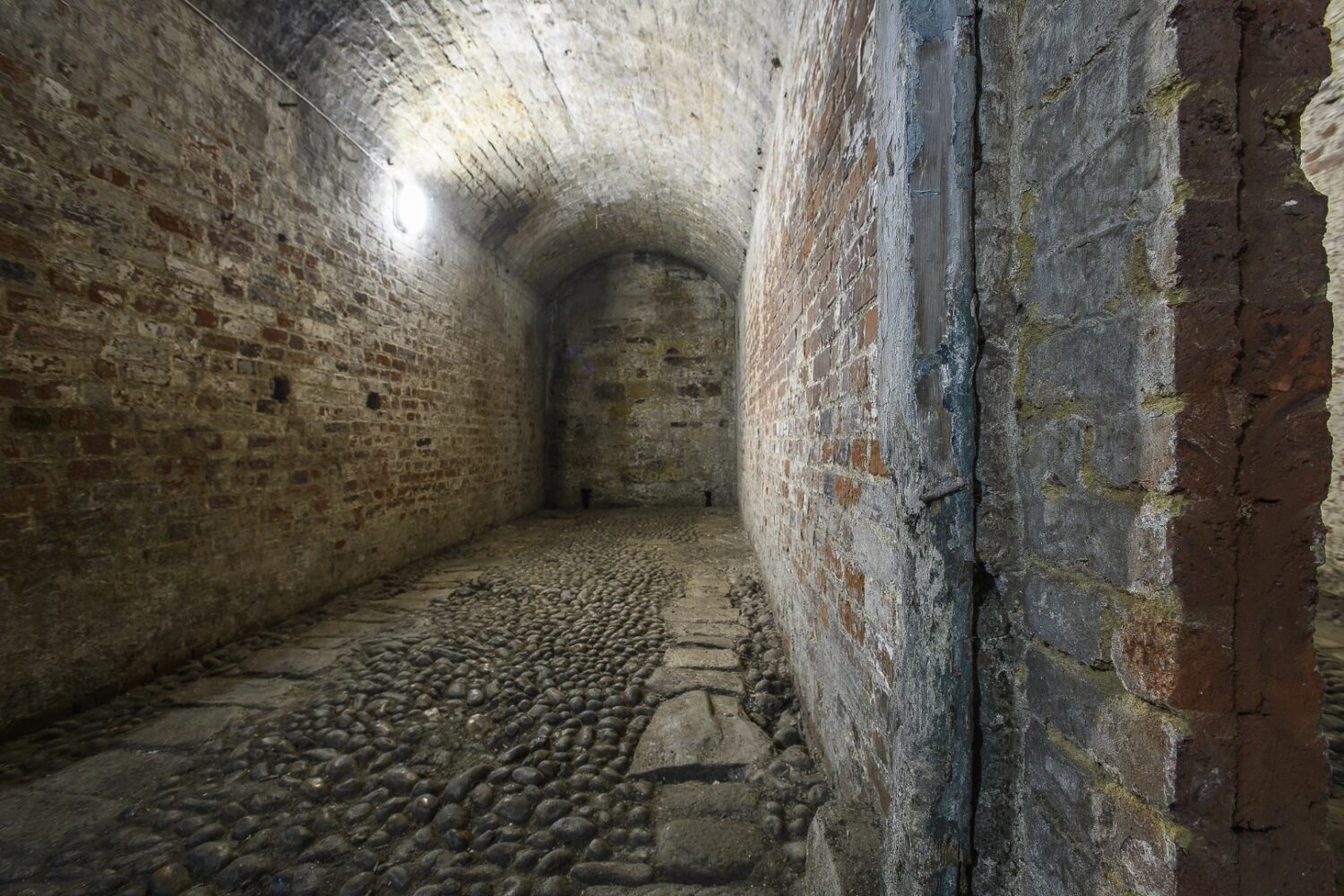 The cellar is home to one of Hastings’ oldest surviving road surfaces, original gas lamp pipes and the entirely intact vaulted spaces where the Swan Hotel’s coaches would have been parked
