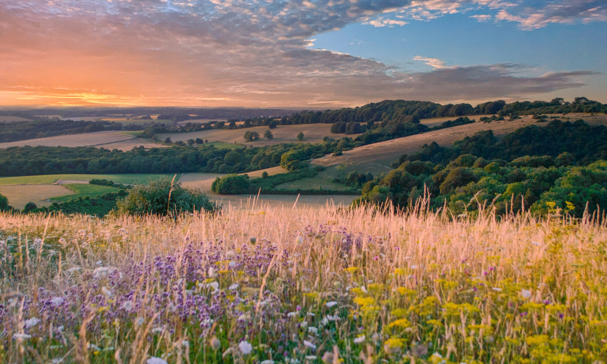 Summer view from the South Downs