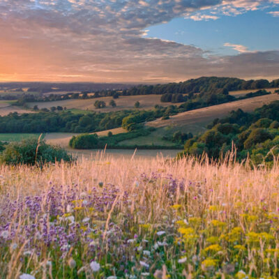 Summer view from the South Downs