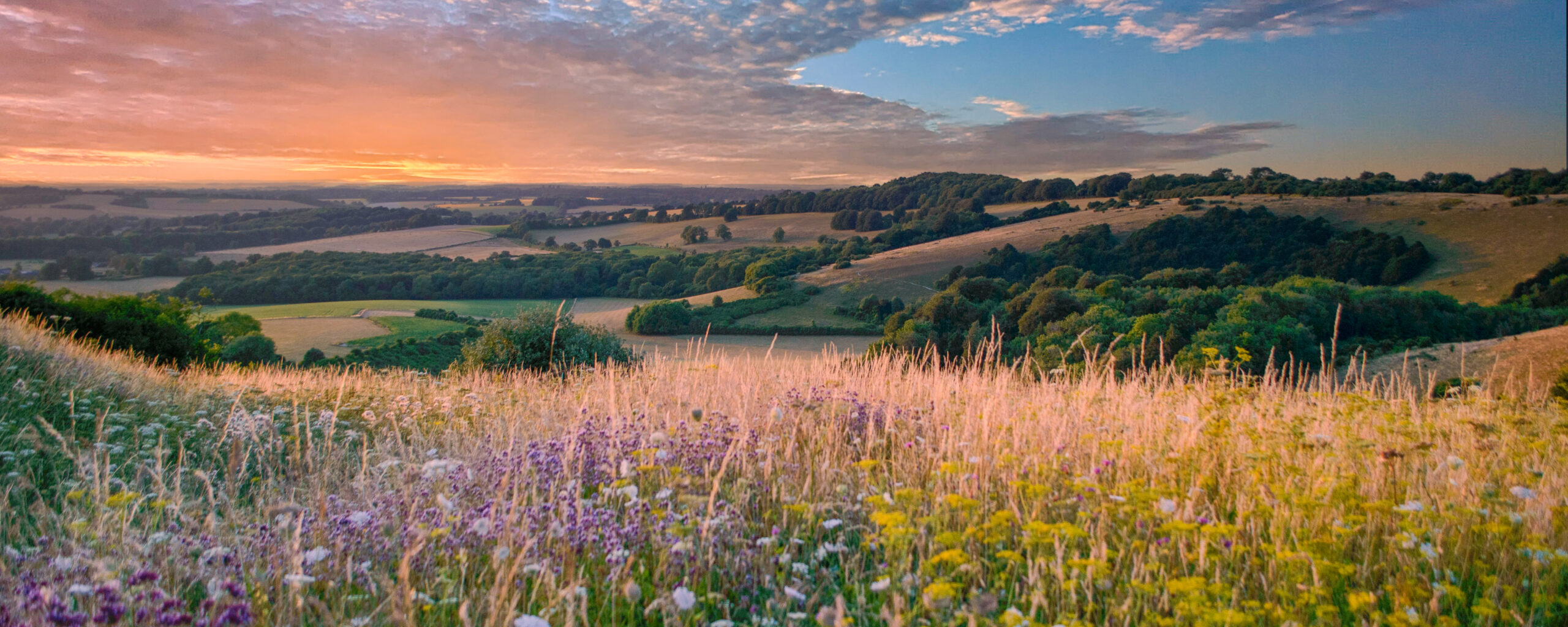 Summer view from the South Downs