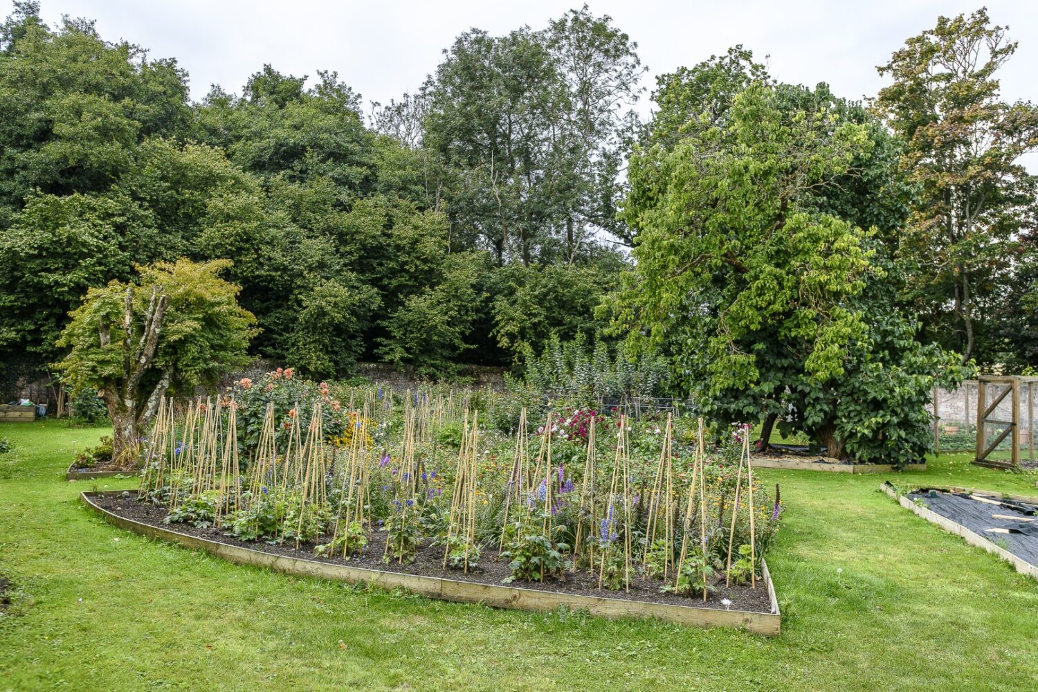 The cutting garden and greenhouse