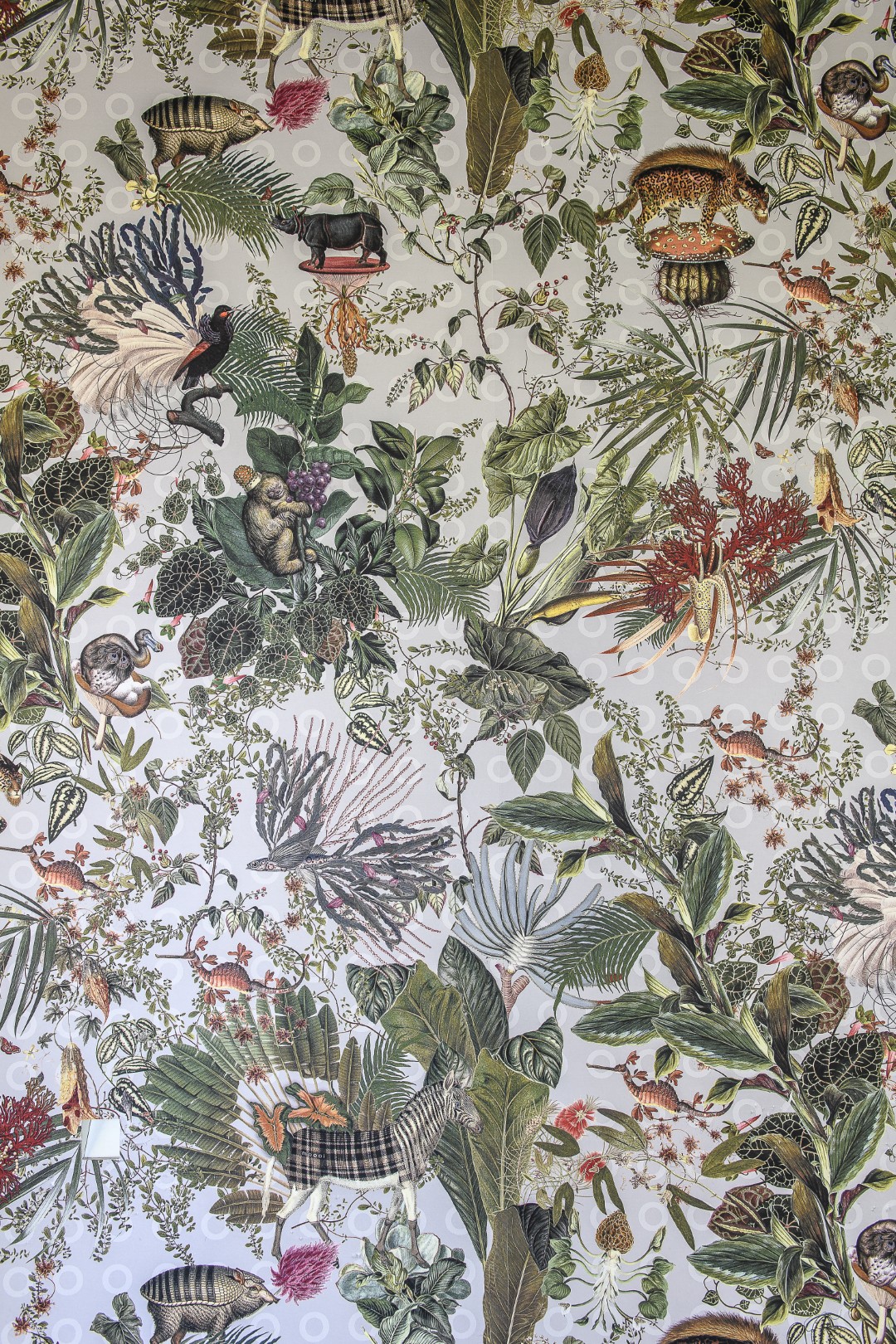 ‘Menagerie of Extinct Animals’ wallpaper by Moooi Wallcovering lines one wall