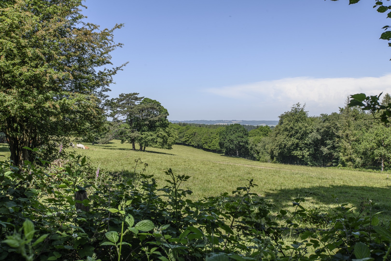 The garden has magnificent views out over the surrounding countryside