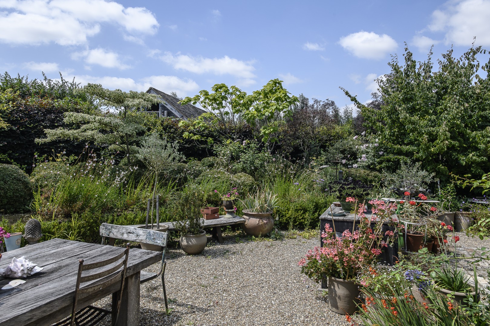 The family have devoted lots of time to the garden, planting avenues of trees and corners of interest throughout