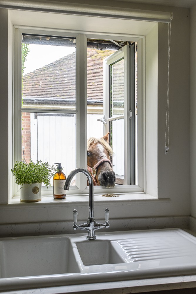 Peter Pan pokes his head in the kitchen window to check out our photoshoot